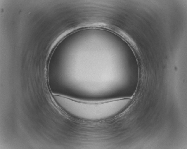 X0000085011332200703050951