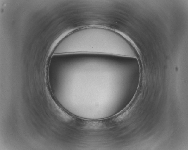 X0000085011333200703050951