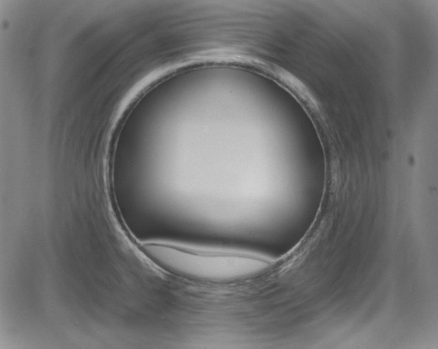 X0000085011334200703050951