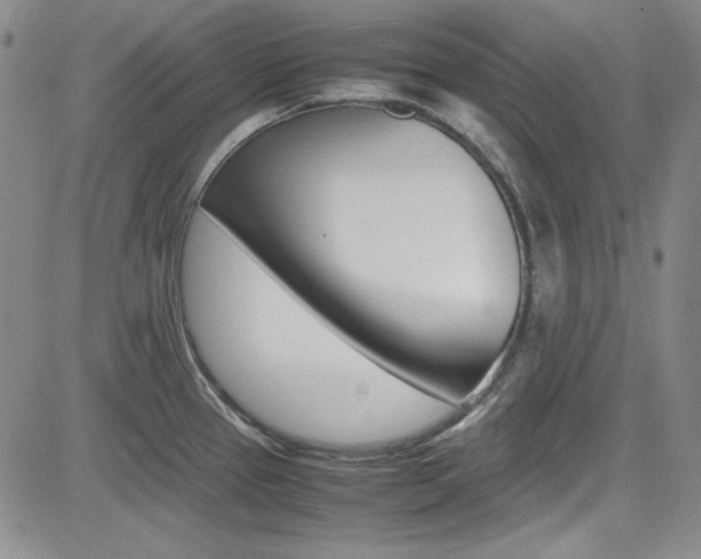 X0000085011337200703050951