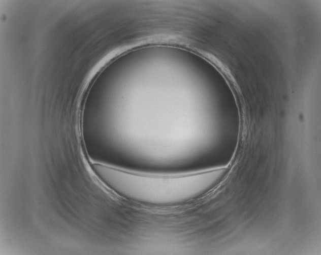 X0000085011342200703050951