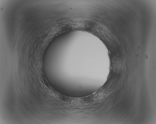 X0000085011345200703050951