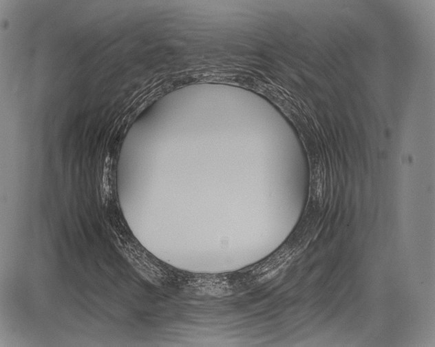 X0000085011346200703050951