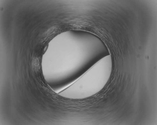X0000085011347200703050951
