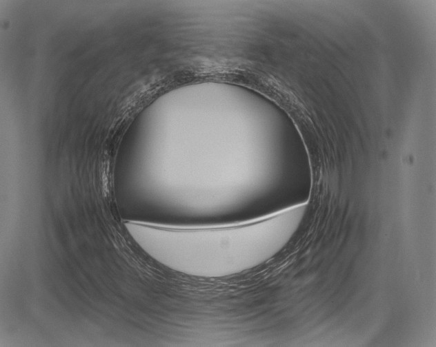 X0000085011348200703050951