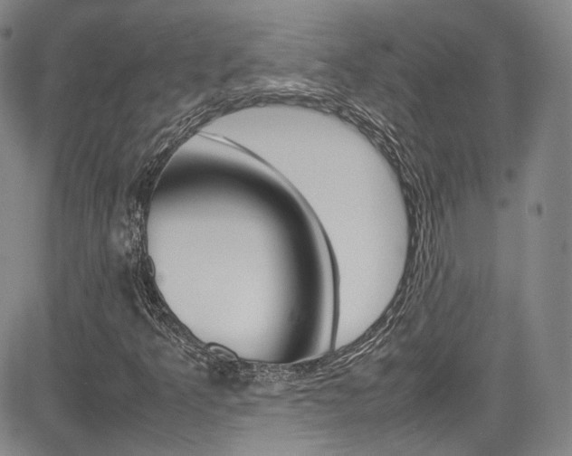 X0000085011349200703050951
