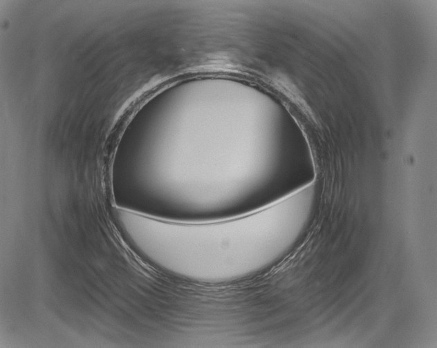 X0000085011356200703050950