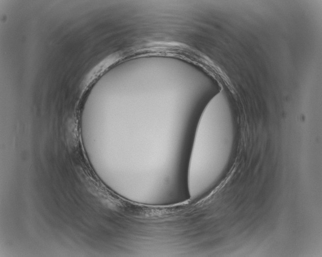 X0000085011362200703050950
