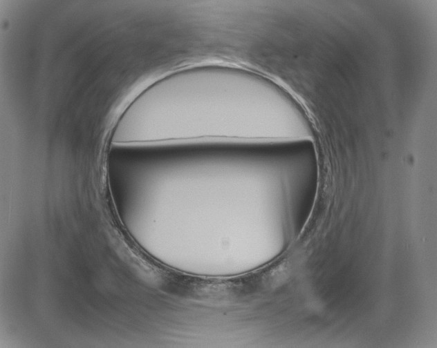X0000085011367200703050950