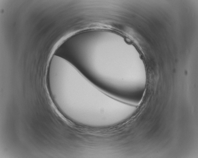 X0000085011379200703050950