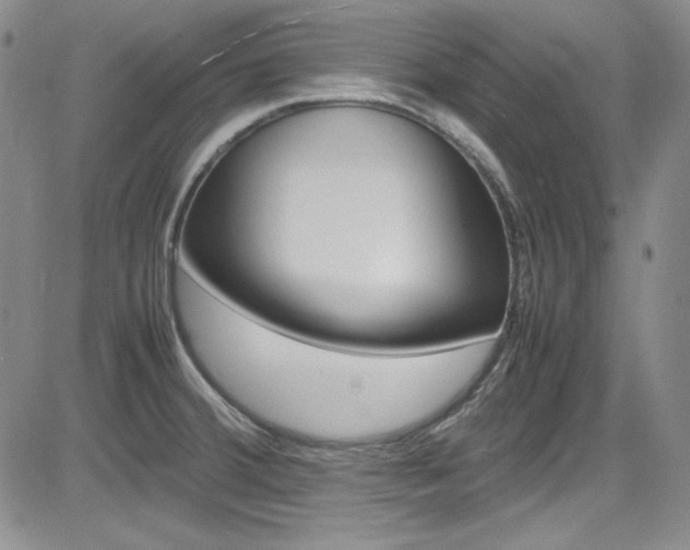 X0000085011380200703050950