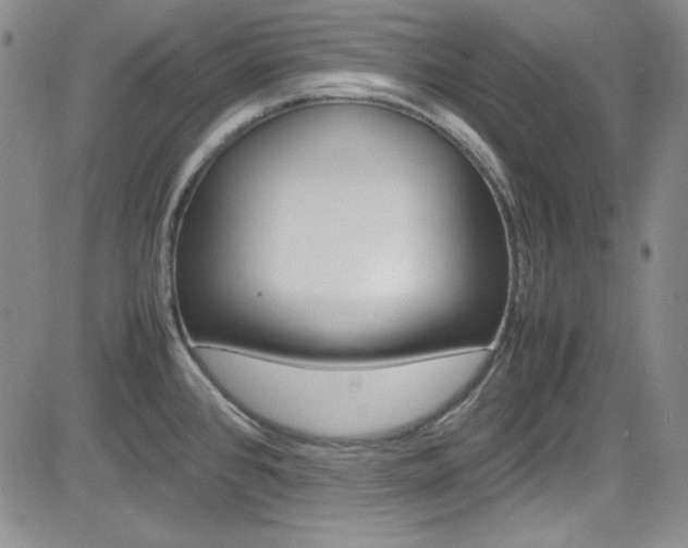 X0000085011384200703050950