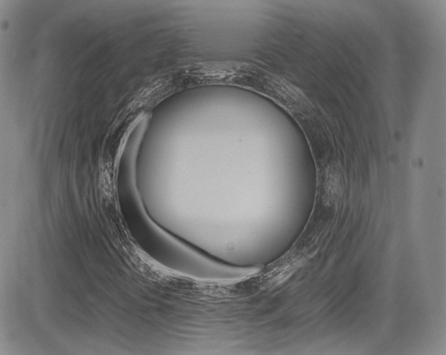 X0000085011394200703050949