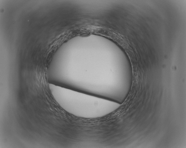 X0000085011397200703050949
