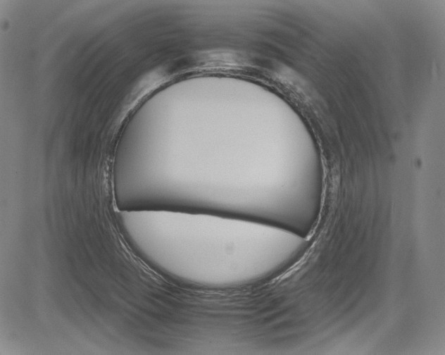 X0000085011409200703050949