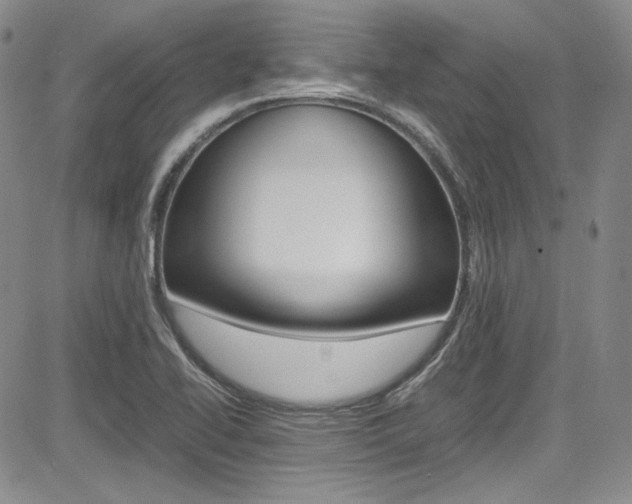 X0000085011414200703050949
