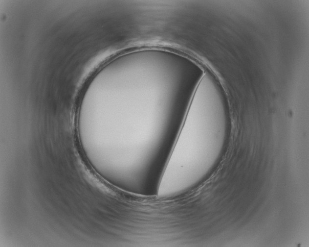 X0000085011416200703050949