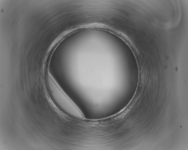 X0000085011422200703050950