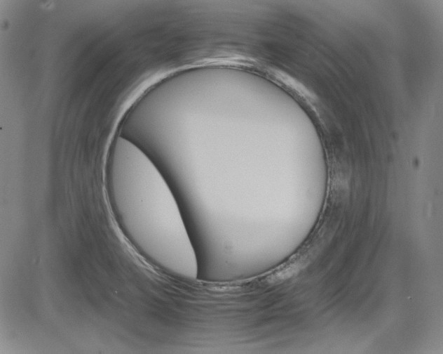 X0000085011423200703050950