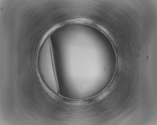 X0000085011426200703050950