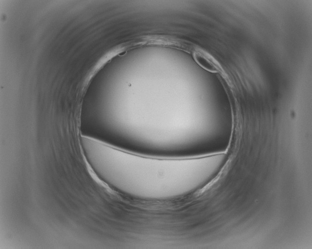 X0000085011433200703050950