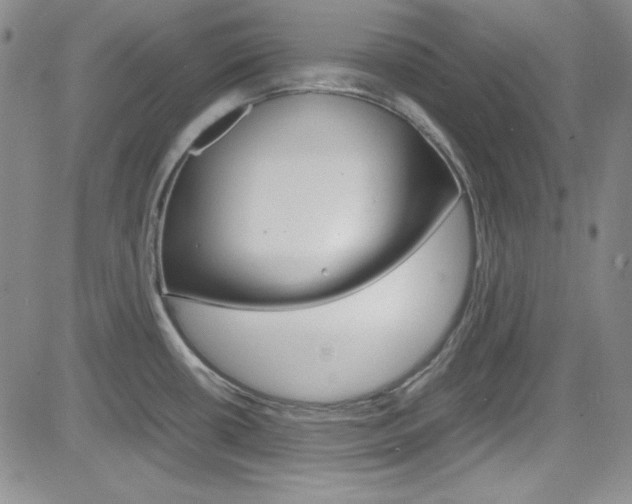 X0000085011434200703050950