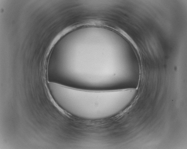 X0000085011437200703050950