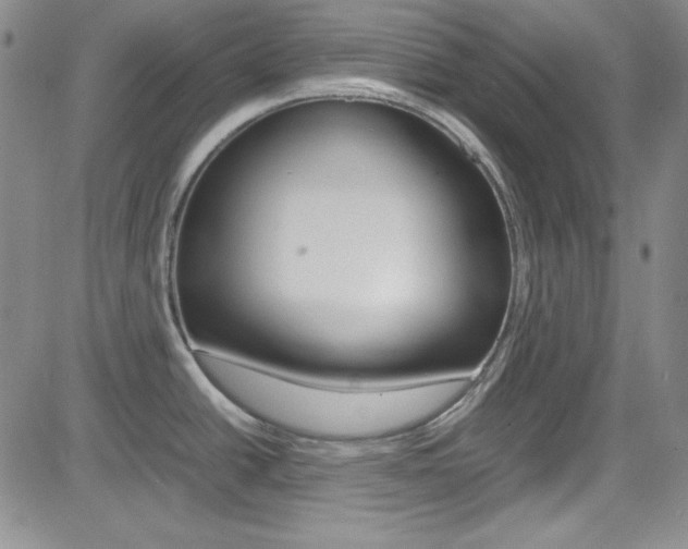 X0000085011438200703050950