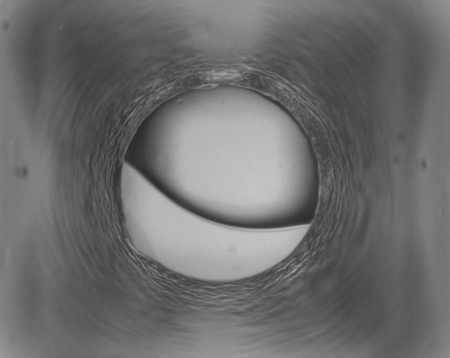 X0000085011441200703050949