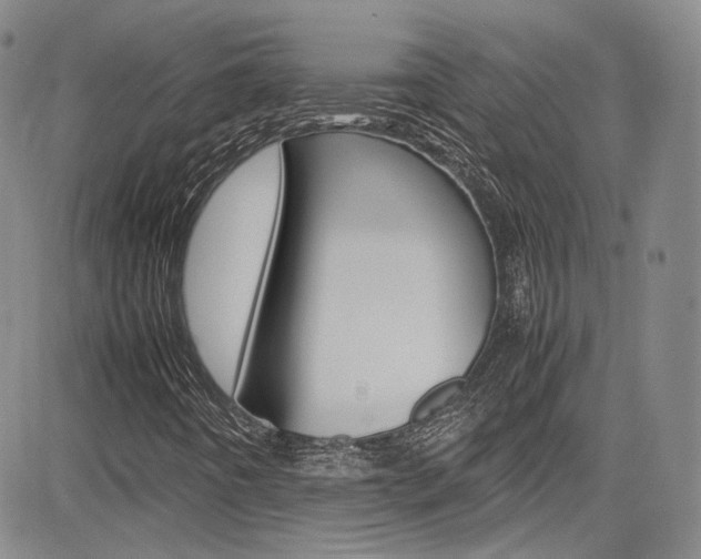 X0000085011442200703050949