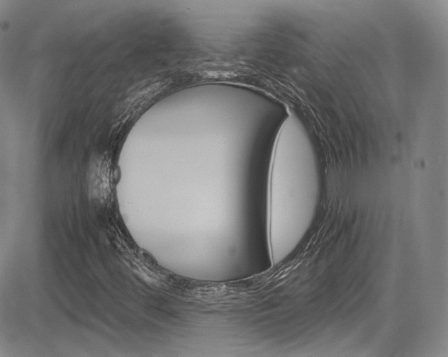X0000085011444200703050949