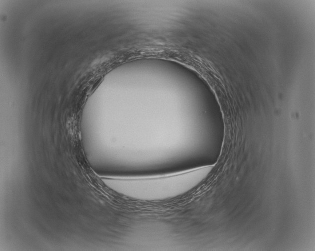 X0000085011445200703050949