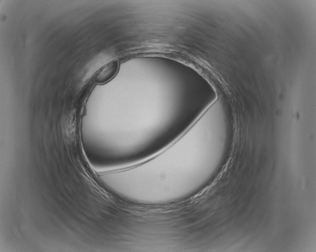 X0000085011450200703050949