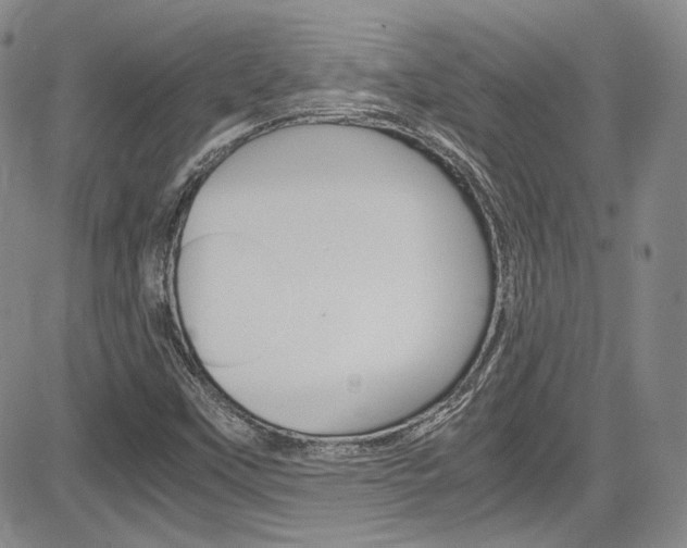 X0000085011451200703050949