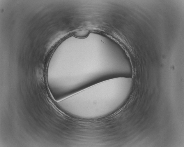 X0000085011452200703050949