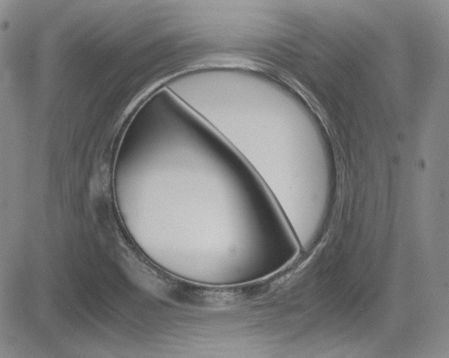 X0000085011465200703050949