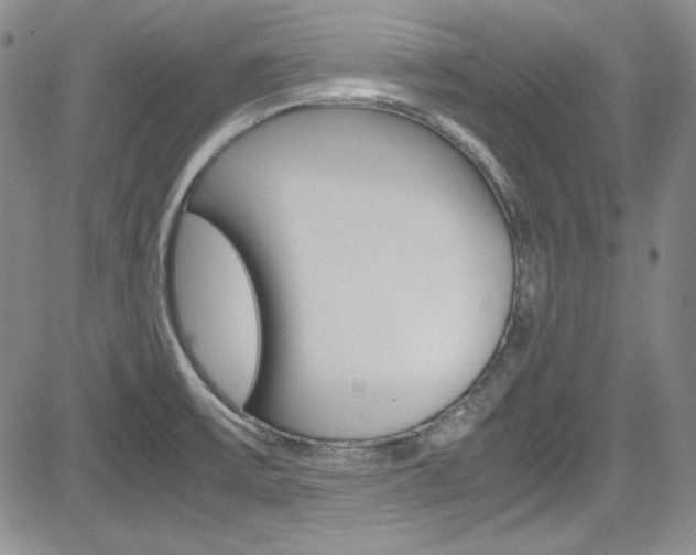 X0000085011475200703050948