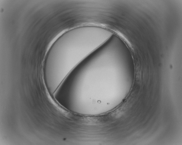 X0000085011476200703050948