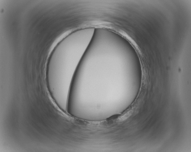 X0000085011477200703050948