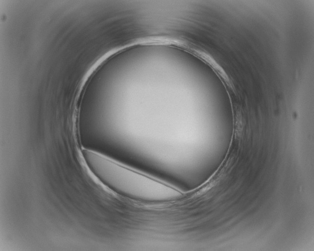 X0000085011484200703050948