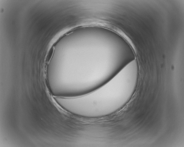 X0000085011485200703050948