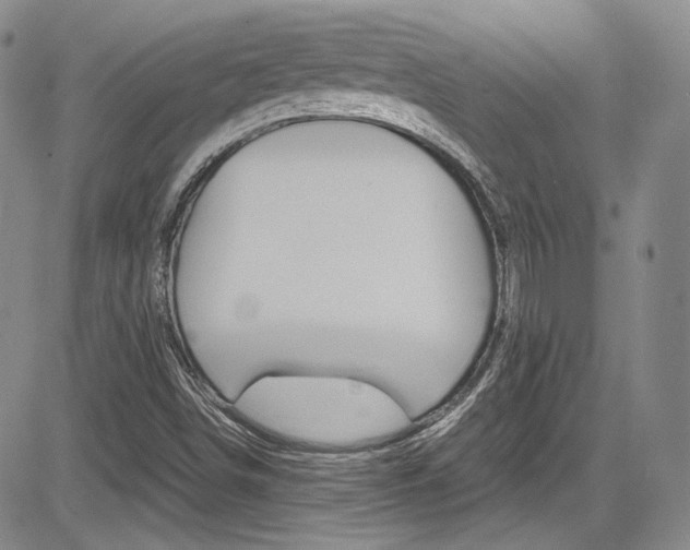 X0000085011498200703050948