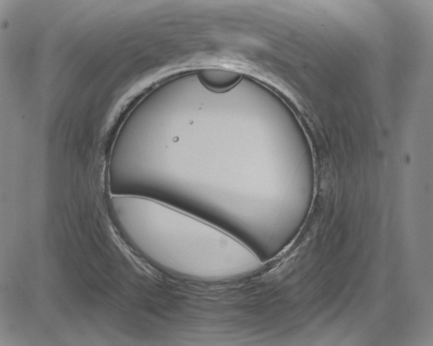 X0000085011507200703050948