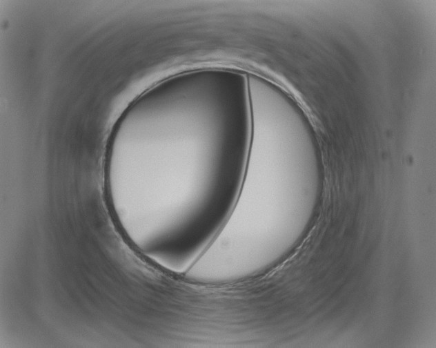 X0000085011512200703050948