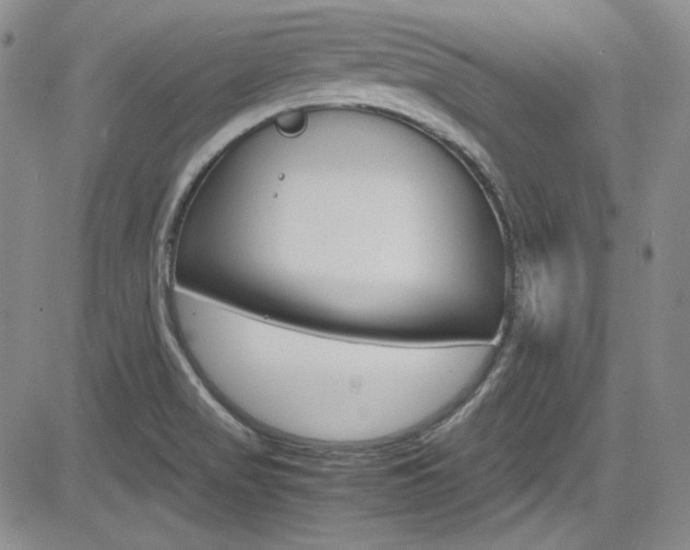 X0000085011517200703050948