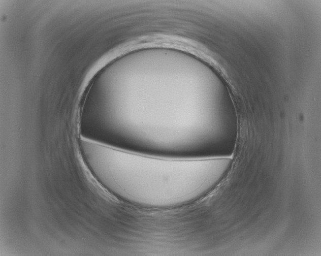 X0000085011522200703050948