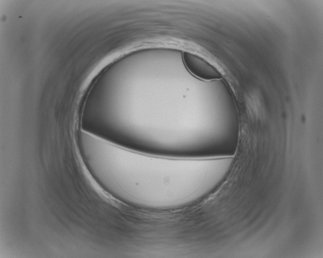 X0000085011523200703050948