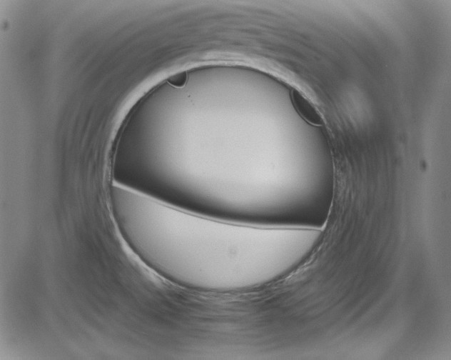 X0000085011527200703050948