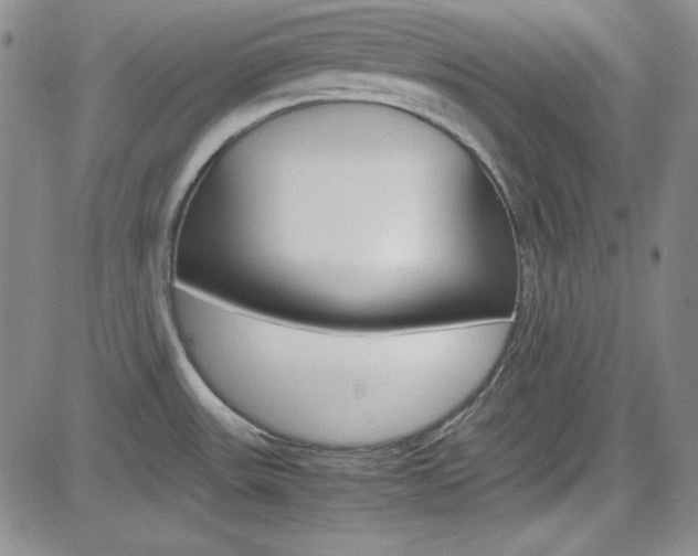 X0000085011531200703050948