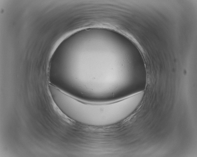X0000085011532200703050948